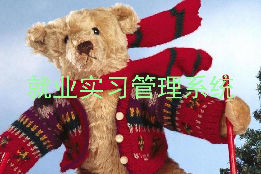 基于就业实习管理系统的高校实践探索--以海口某高校信息系统集成服务为例